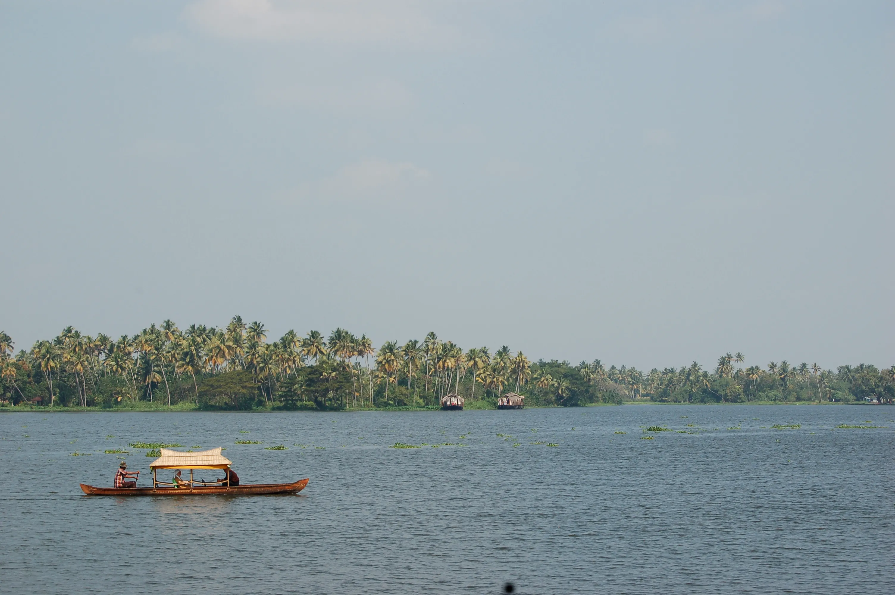 Village life along the shores of the Alleppey backwaters