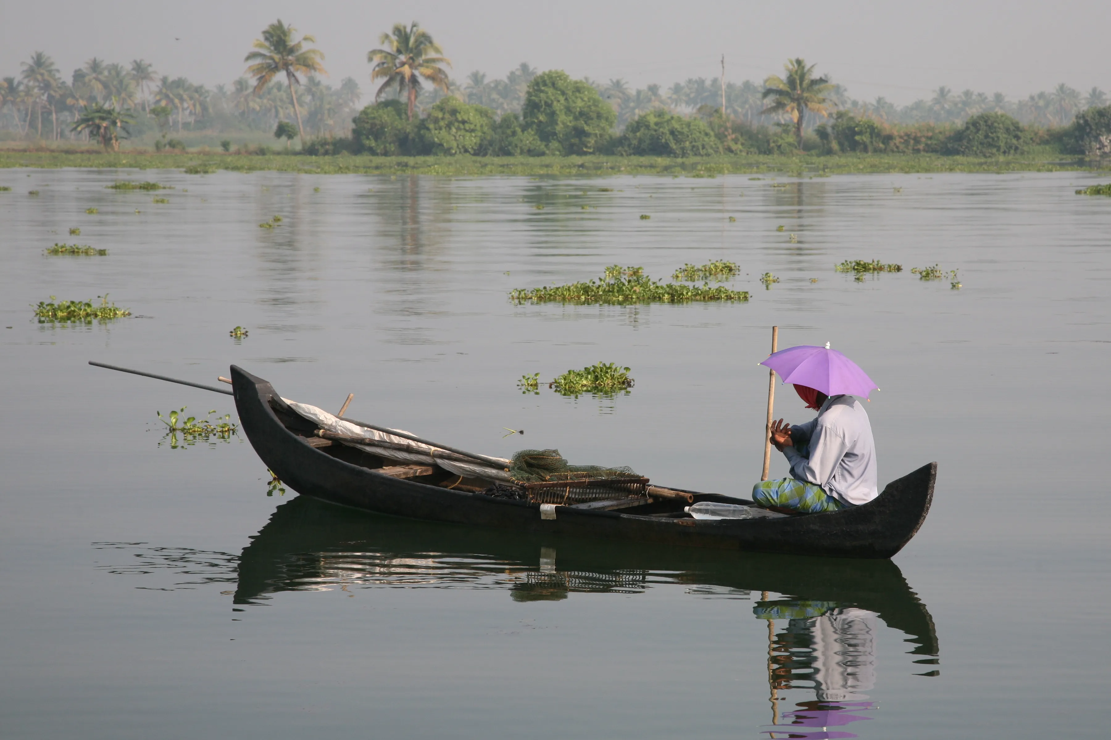 Palm-lined channels of the Punnamada backwaters near Alappuzha, Kerala